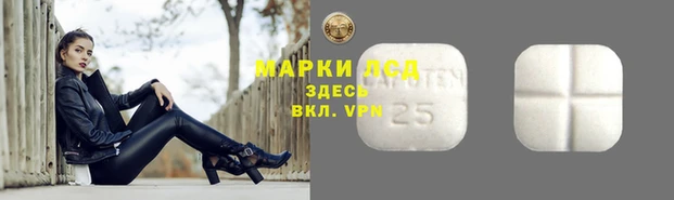 винт Каменка