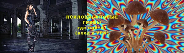 стафф Абдулино