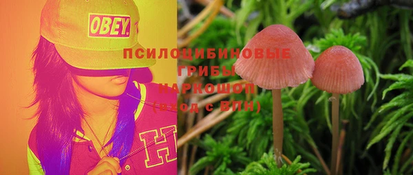 стафф Абдулино