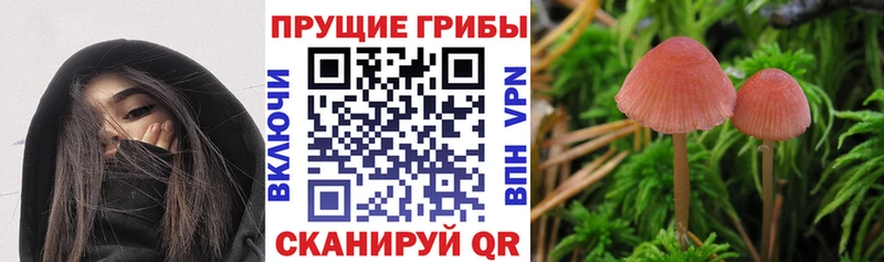 МЕГА сайт  где купить наркоту  Нахабино  Галлюциногенные грибы GOLDEN TEACHER 